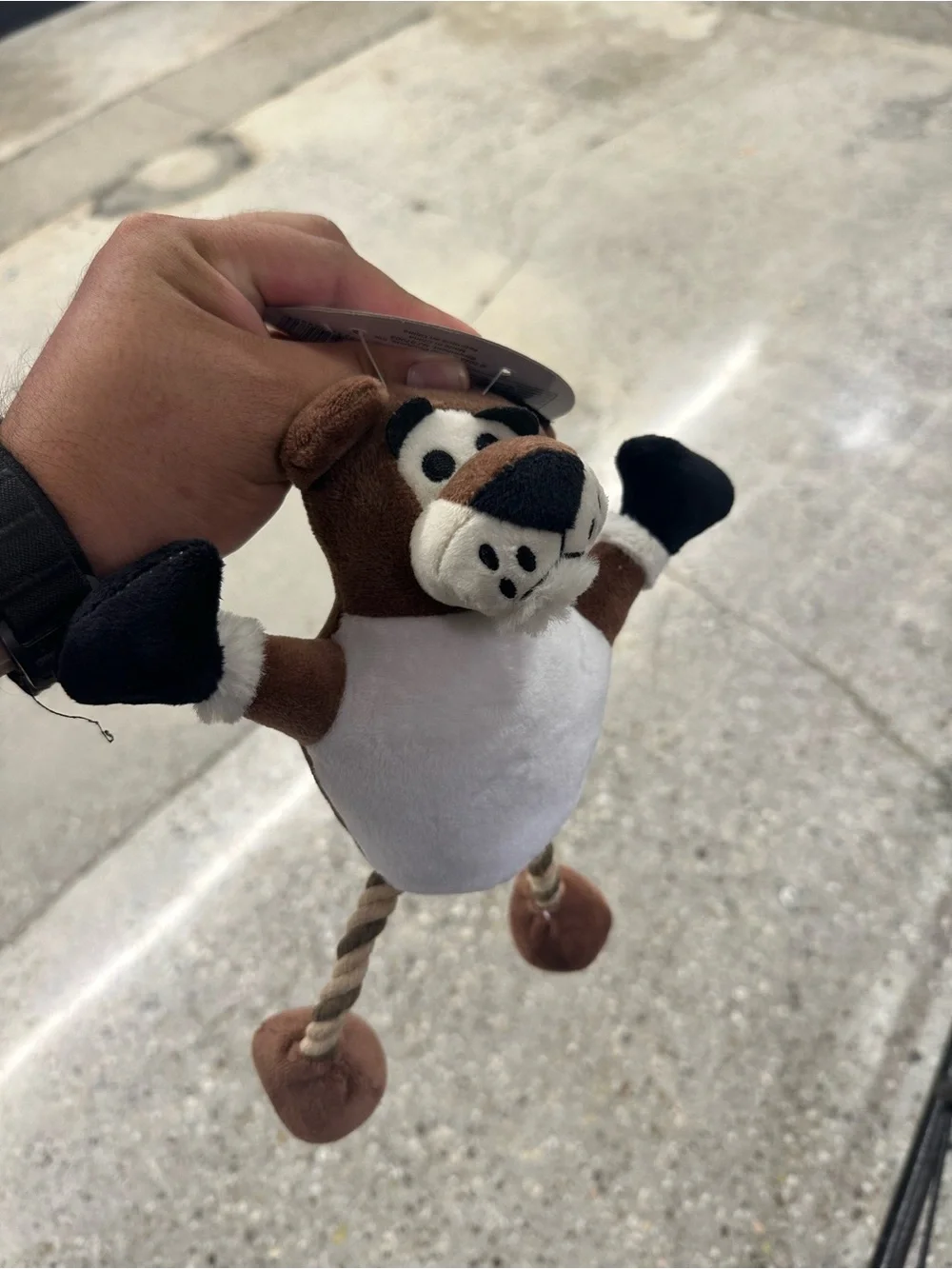 Pet Child Dog